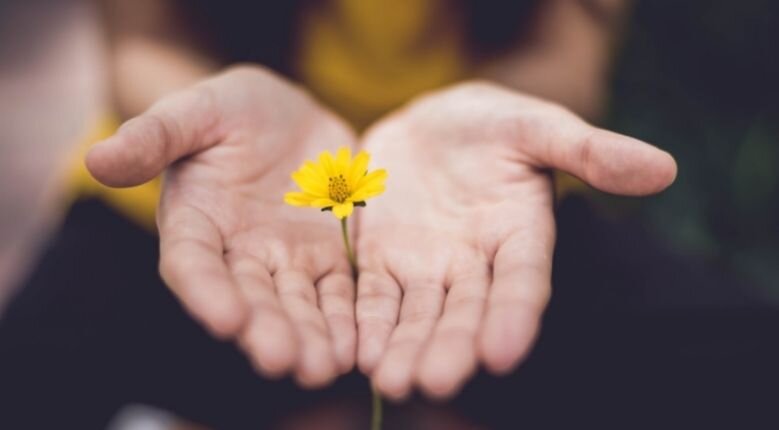 Continuing therapy and spreading the message Hands holding yellow flower