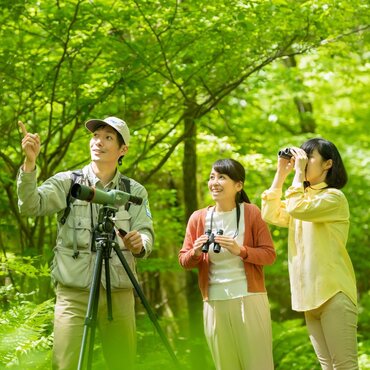 Embracing The Wild: Bear Conservation at Picchio Wildlife Research Centre