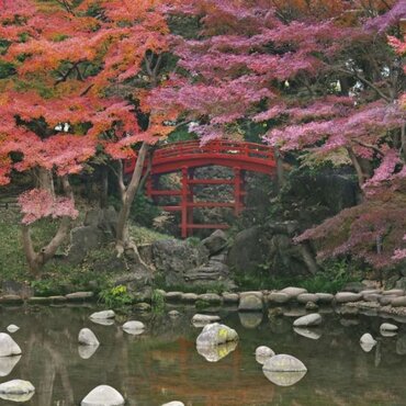 Chasing the Autumn Colours: Best Spots for Fall Photography in Japan