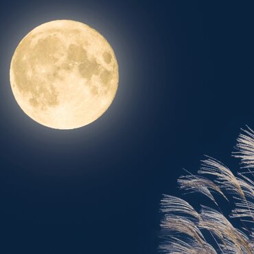 Great Spots To Enjoy Autumn Moon-Viewing in Japan