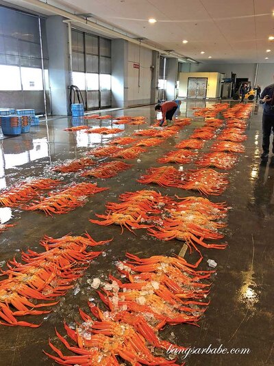 Seafood in Central Japan