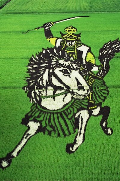 Samurai Warlord Sengoku Busho Rice Field Art