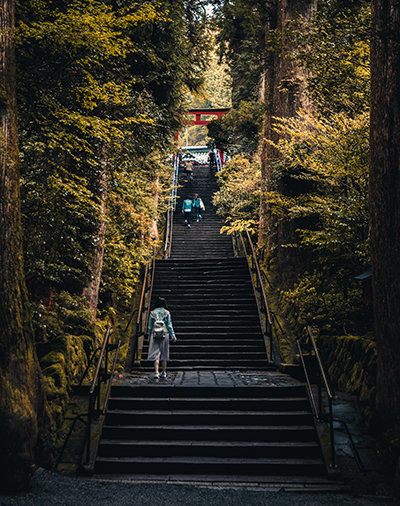Stairs surrounded by nature in Kyoto