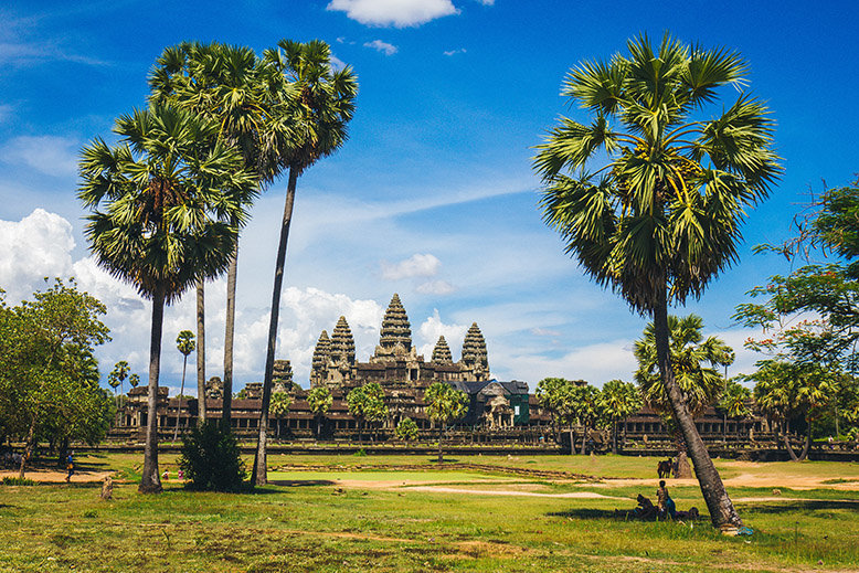 The ancient structure of Angkor Wat framed by tall coconut trees