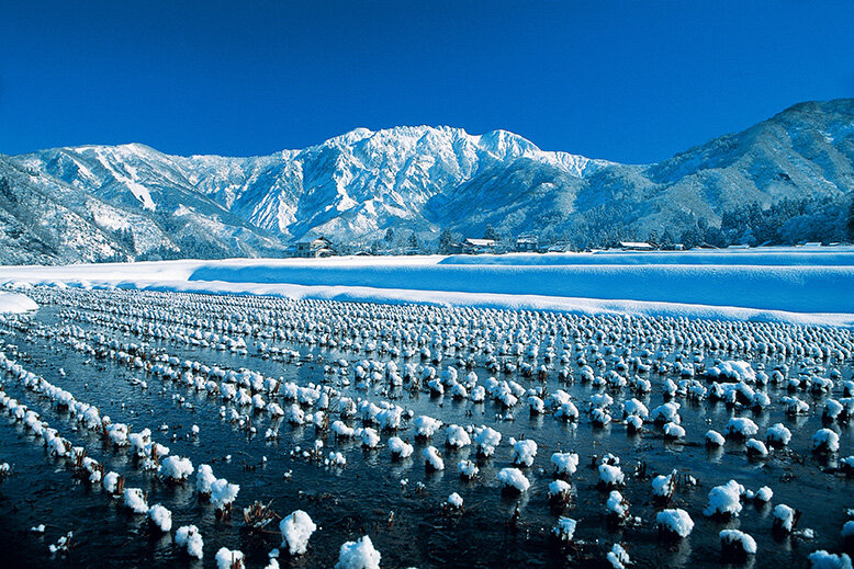 Snowy coast