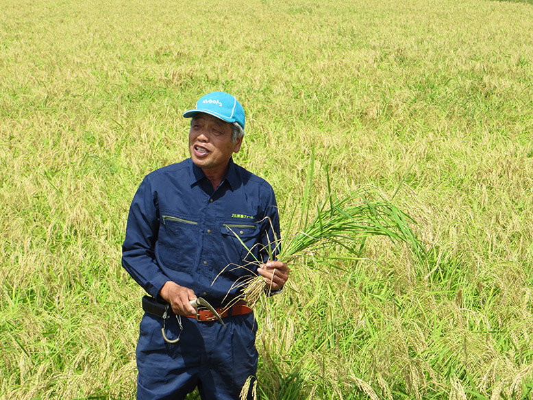 Rice farmer