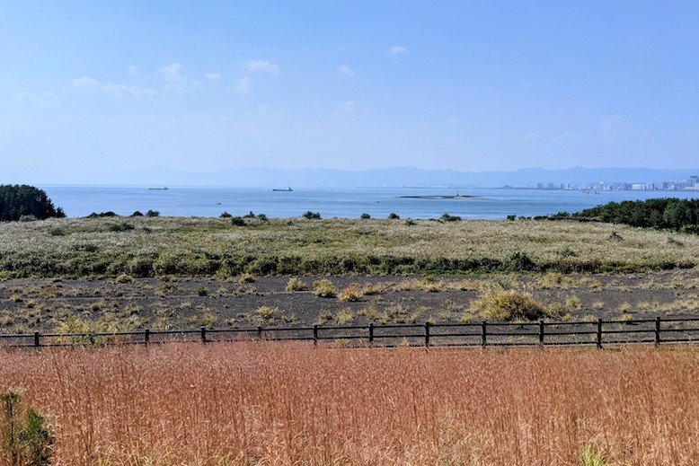 Field near ocean