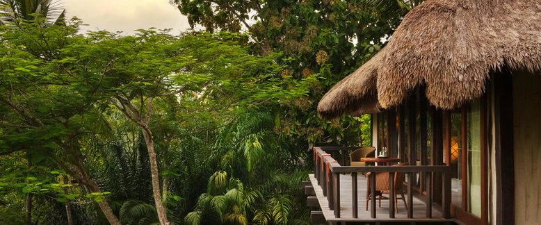 Bali wellness resort in jungle