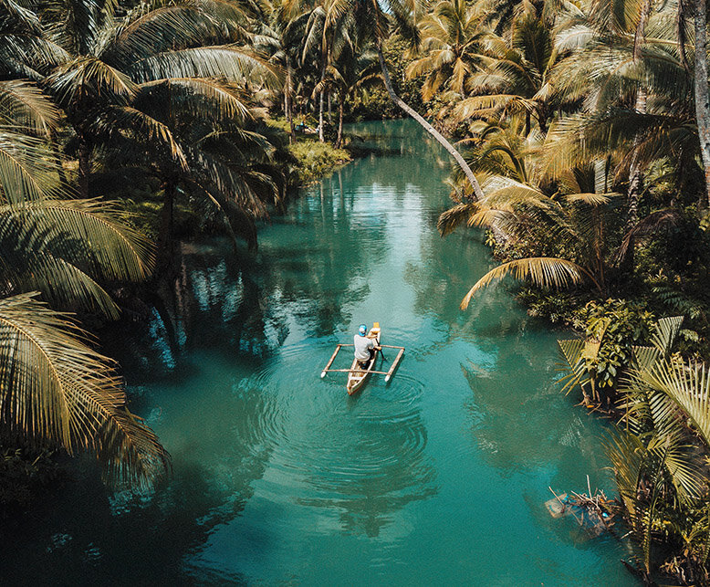 A man boating through a coconut tree-lined lake