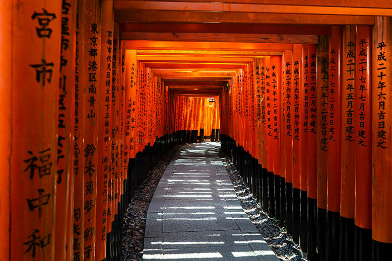 Walking Tours in Japan such as Craft Tabby's guided tours can let you discover the Torii Gates in Fushimi Inari Shrine and more
