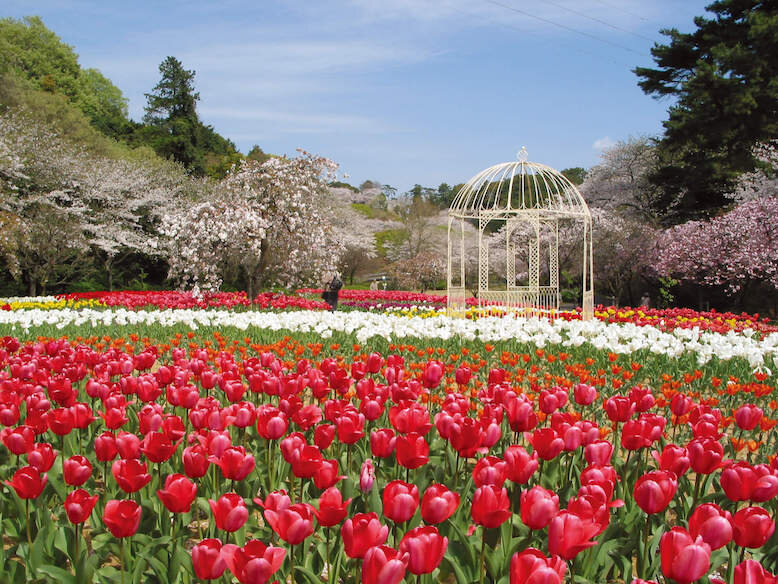 hamamatsu flower park