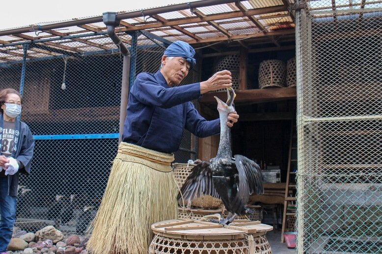 An usho feeding a cormorant an ayu