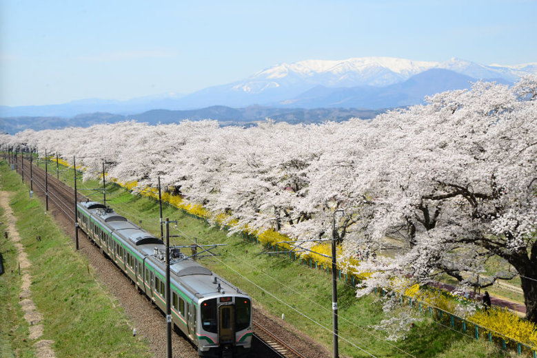 5 Japan Local Train Lines With Beautiful Views