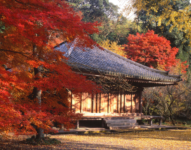 Fukiji Temple Kunisaki Peninsula Guide