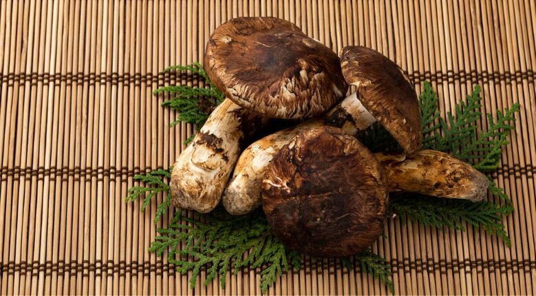 Matsutake Mushrooms