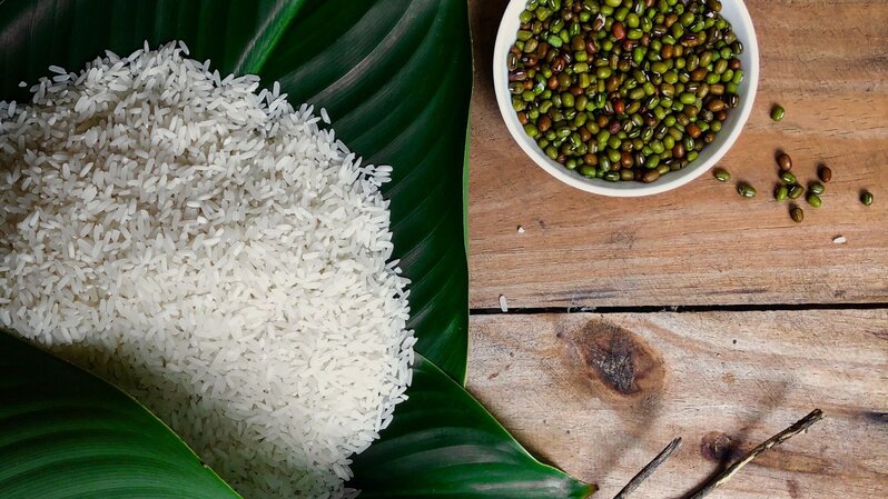 rice grains on leaf