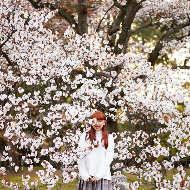 Woman surrounded by sakura