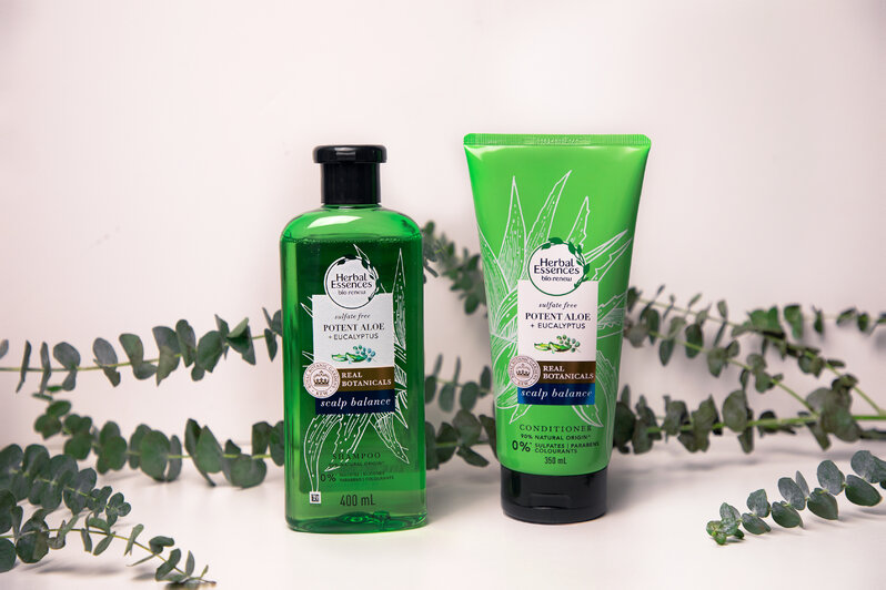 Herbal Essences Potent Aloe & Eucalyptus products