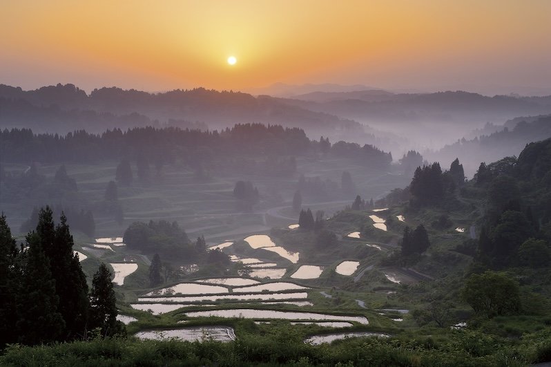 sunset at hoshitoge rice terraces