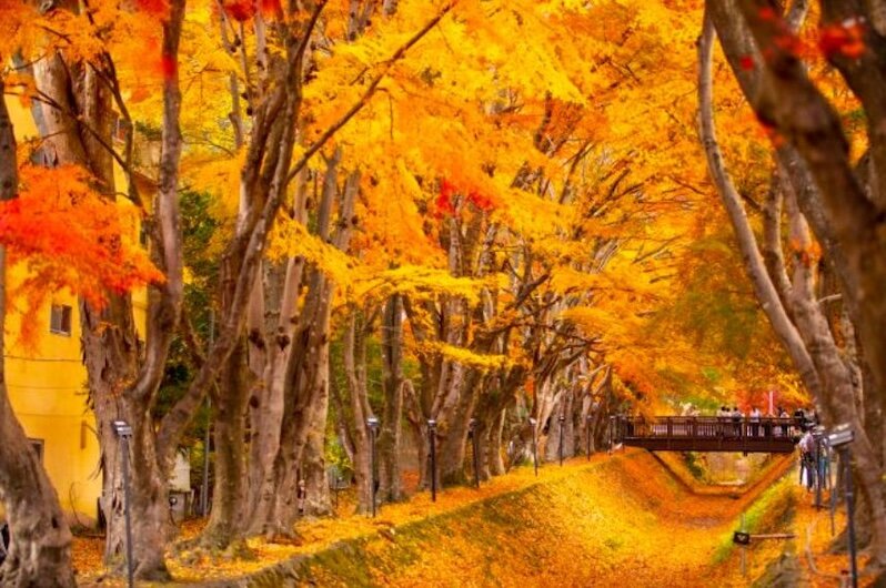 Lake Kawaguchiko, Yamanashi