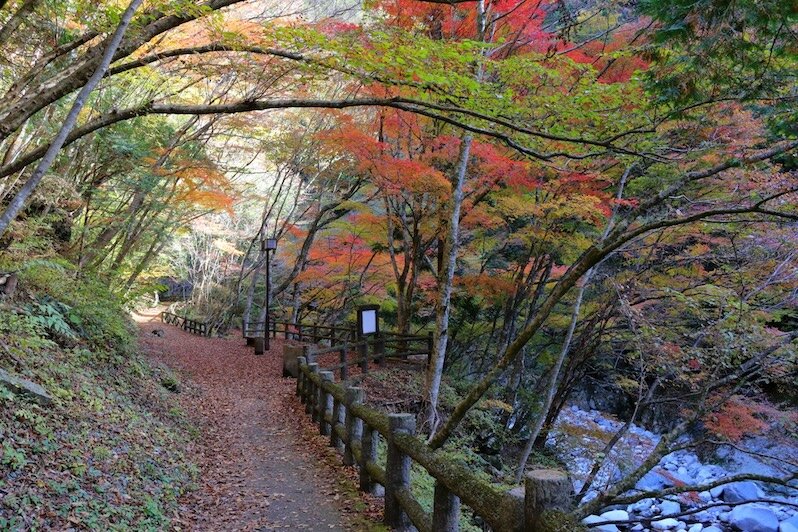 omogo gorge