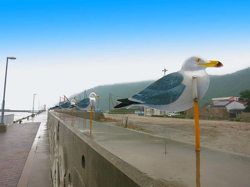 Sea Gulls Parking Lot