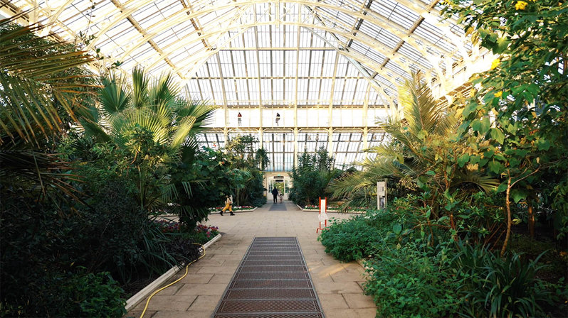 Exploring The Royal Botanic Gardens, Kew, With Herbal Essences | Clozette