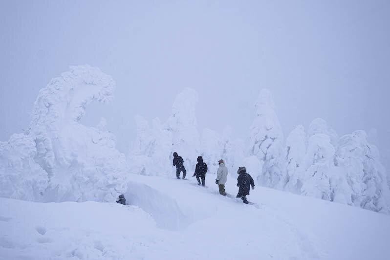 Snow Monsters in Mt. Zao