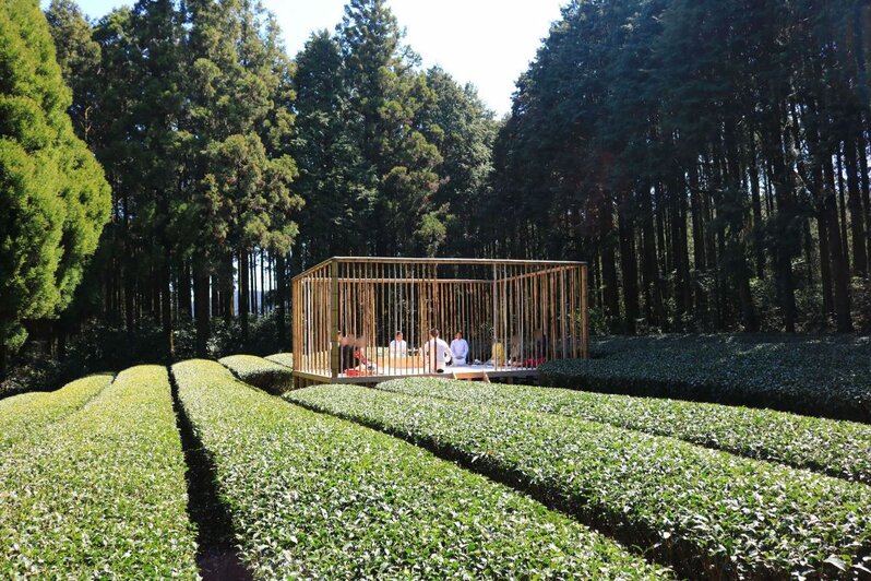 tea tourism ureshino