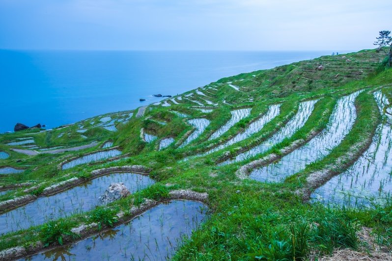Shiroyone Senmaida Rice Terraces, Ishikawa Prefecture