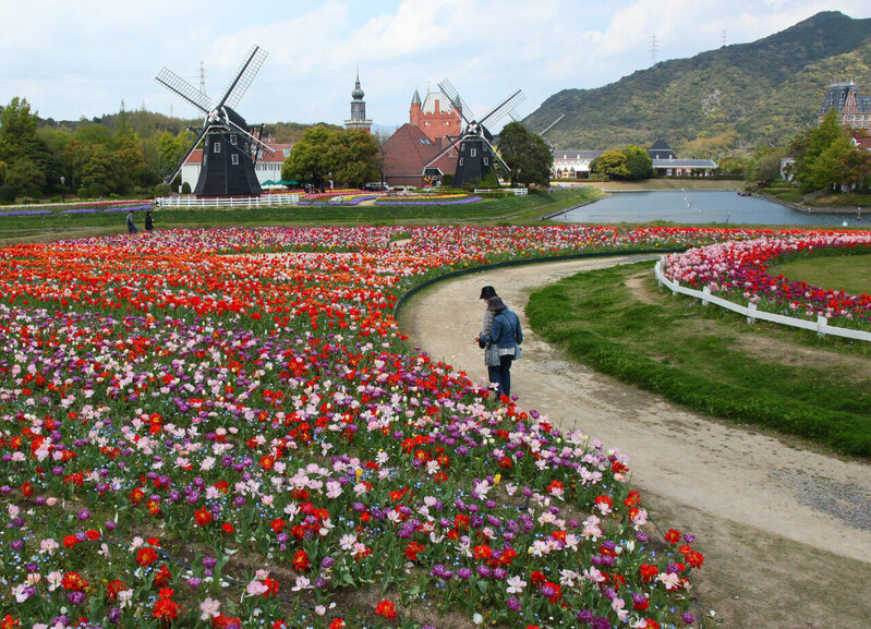 Huis Ten Bosch Tulip Festival.