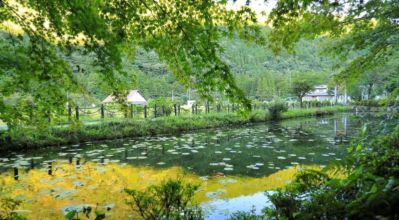 How to get to Monet's Pond Gifu